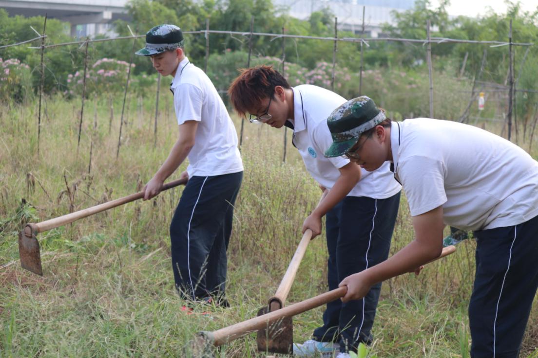 20241011232041170.png 20241011232041170.png