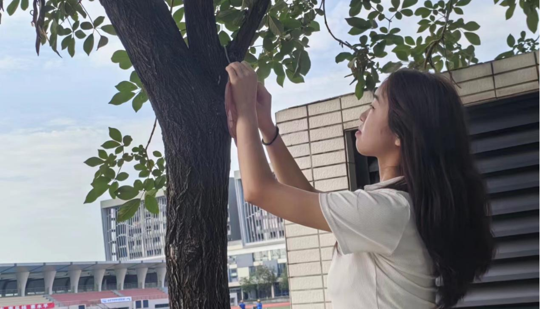 20240519220721709.png 20240519220721709.png