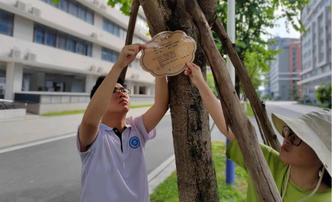 20240519220700852.png 20240519220700852.png