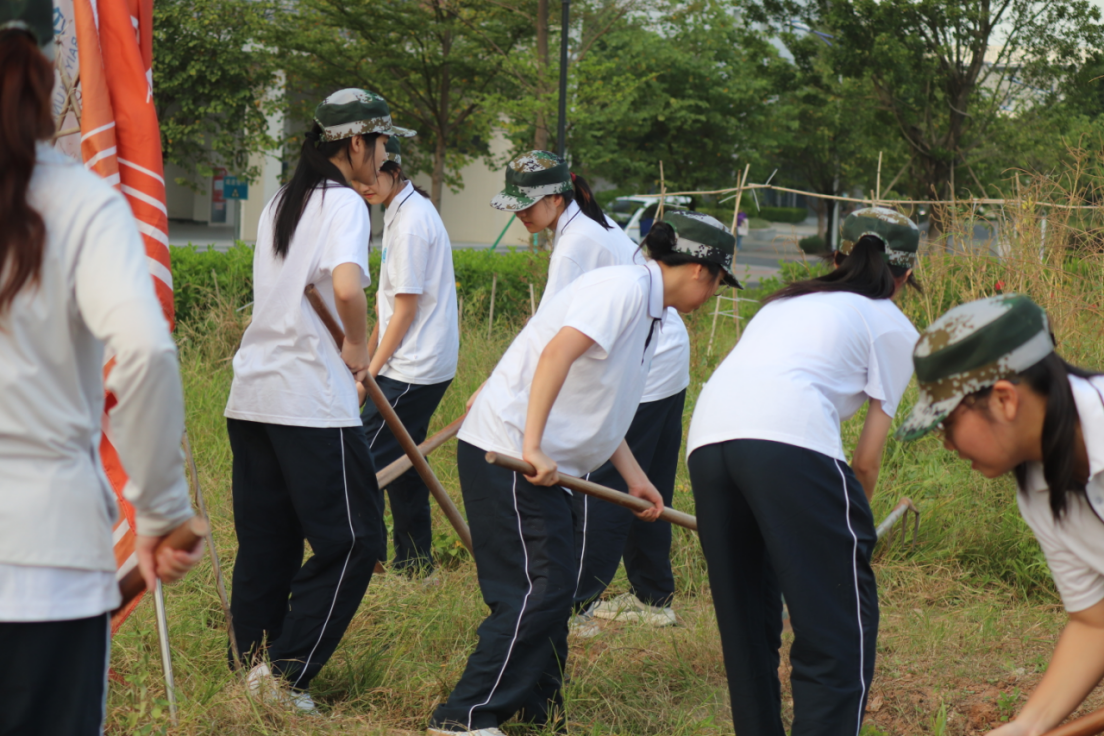 20241011232104474.png 20241011232104474.png