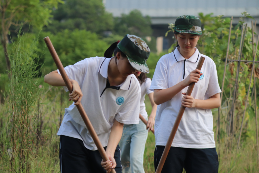 20241011232130426.png 20241011232130426.png