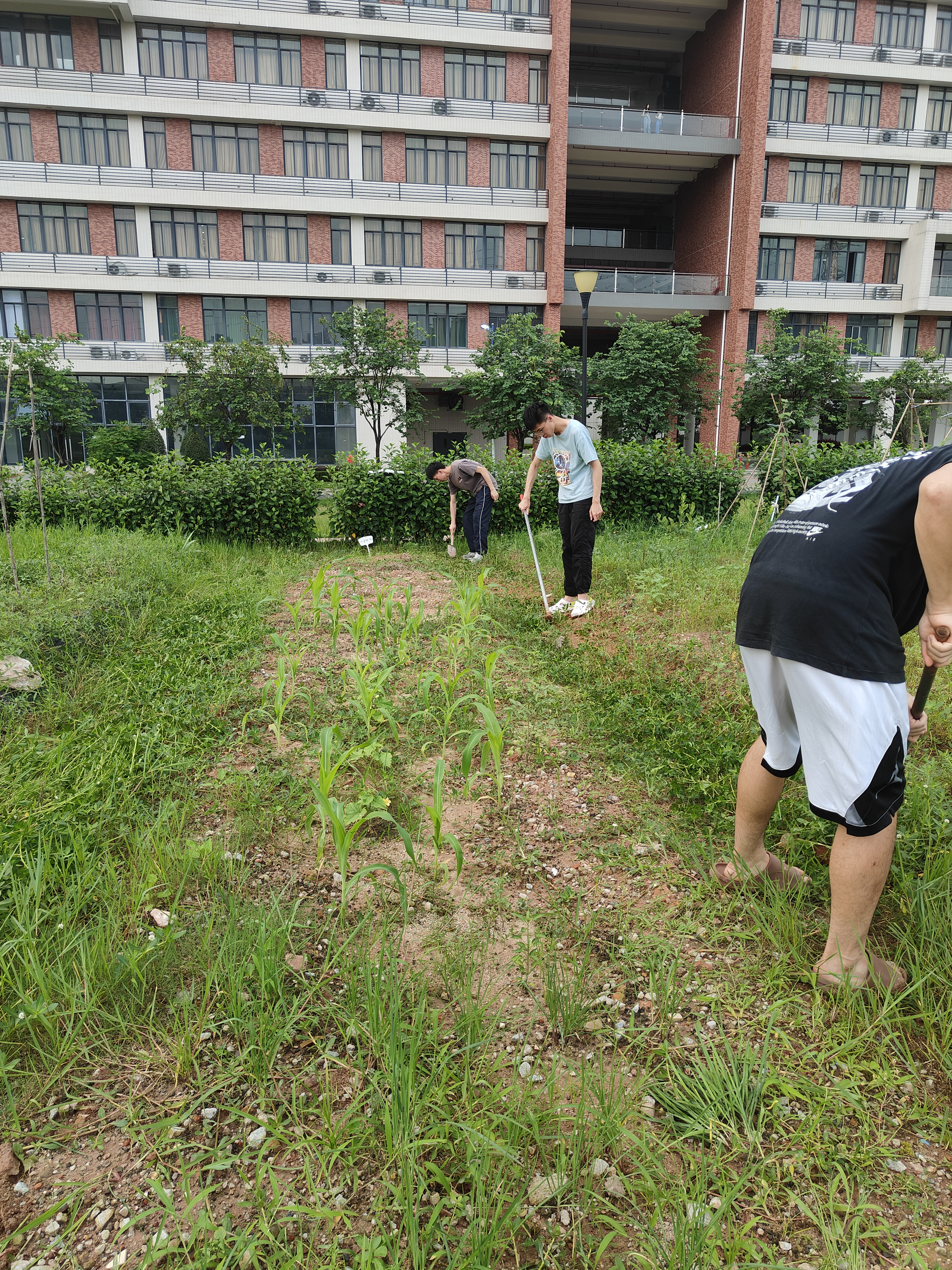 20240528152825489.jpg 20240528152825489.jpg