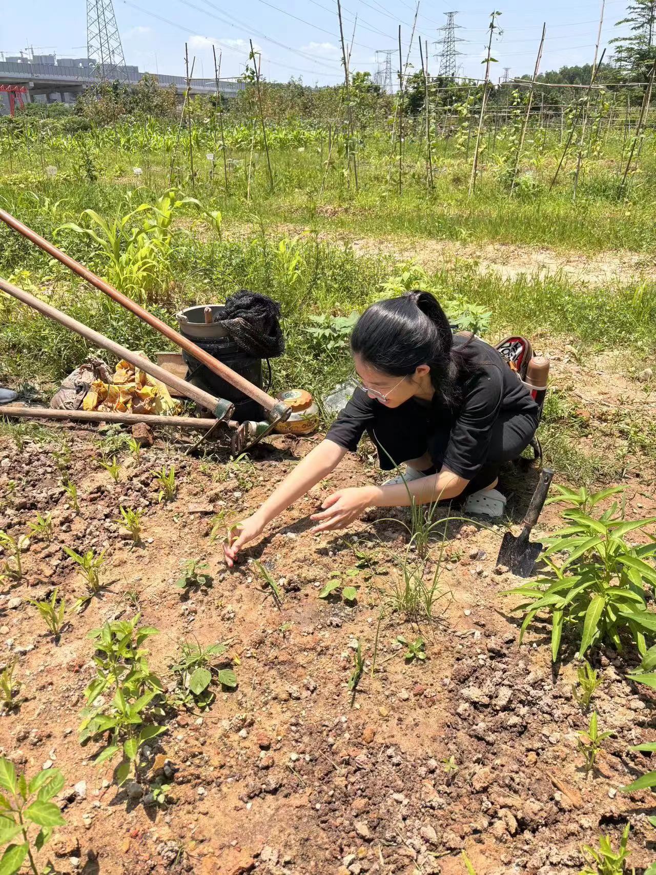 20240528152519251.jpg 20240528152519251.jpg